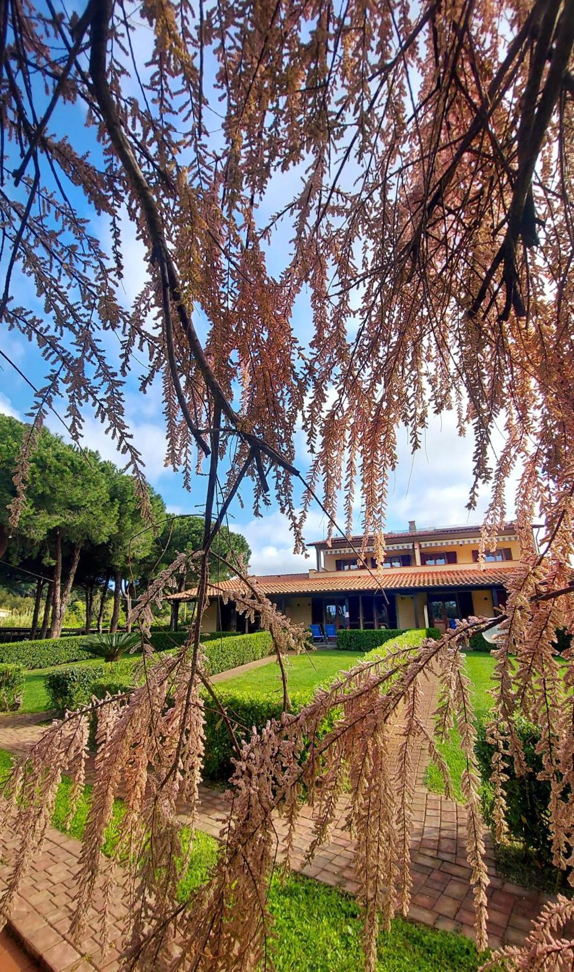 Lido Azzurro Residence Capoliveri  Exterior foto